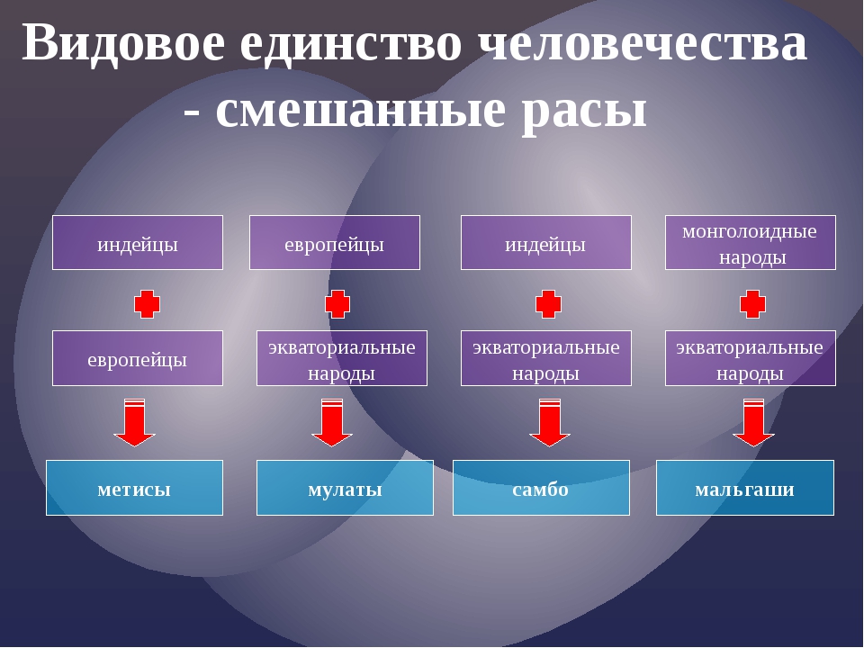 Современный этап развития человечества человеческие расы опасность расизма проект