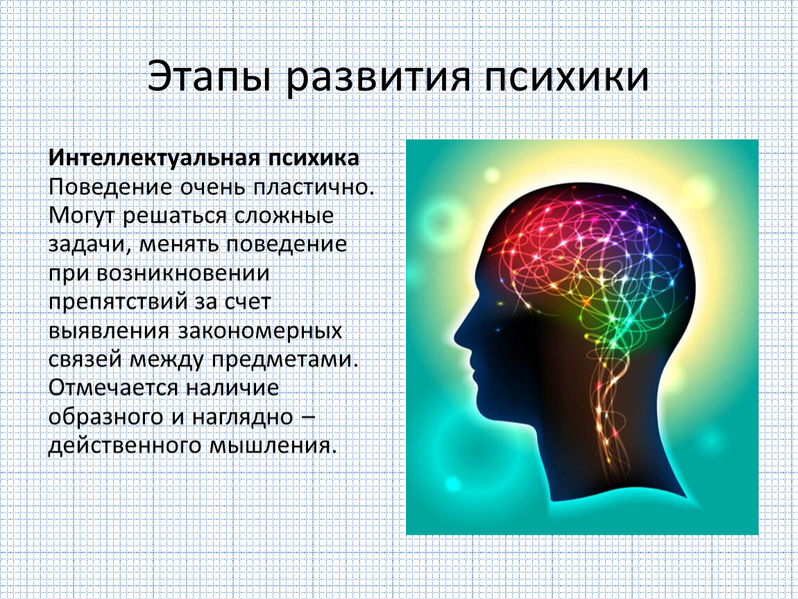 Психика презентация по психологии