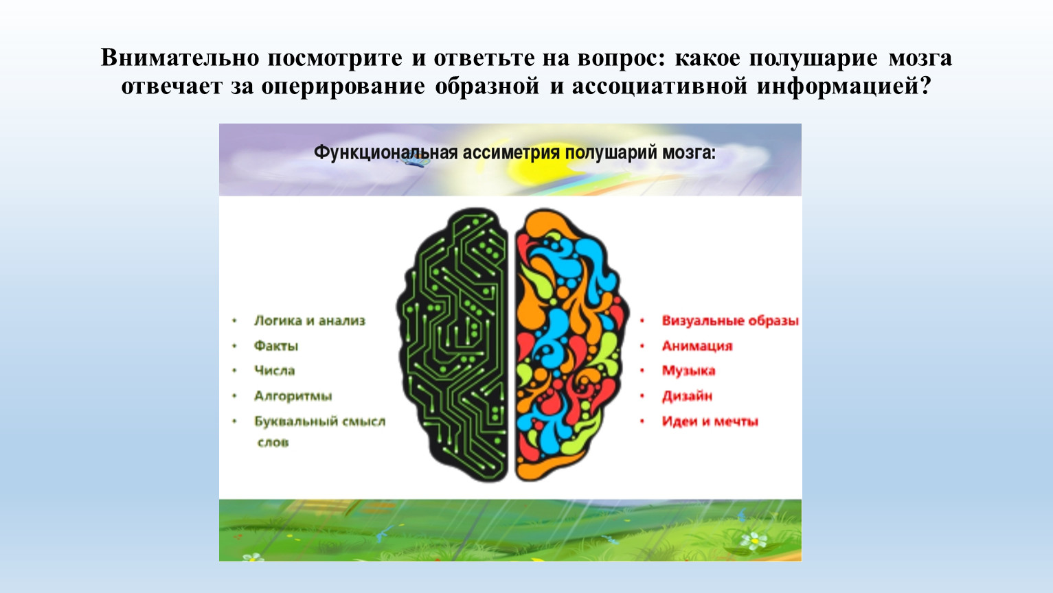 Определение полушария мозга