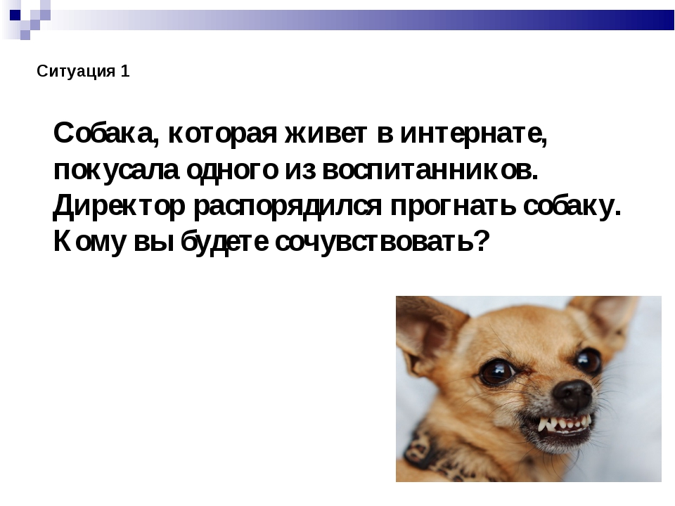 Жестокость итоговое. Равнодушие и жестокость презентация. Поговорки о равнодушии и жестокости. Сообщение на тему равнодушие и жестокость. Безразличие и жестокость презентация 5 класс.