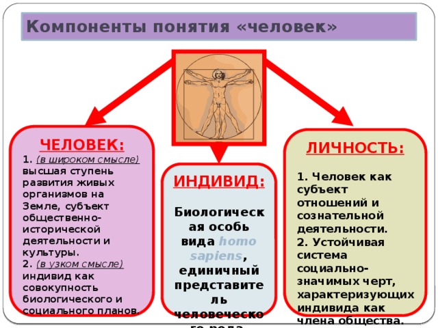 Развитие человека как личности и индивида презентация