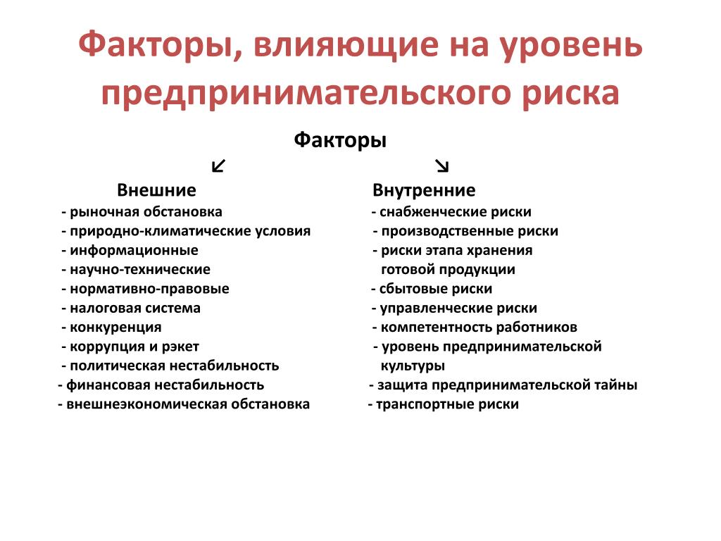 Факторы успешной реализации проекта внутреннего и внешнего характера