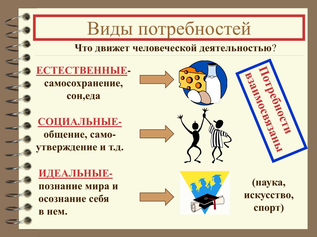 Виды деятельности и развитие человека. Виды потребностей. Потребности виды потребностей. Типы потребностей человека. Три вида потребностей человека.