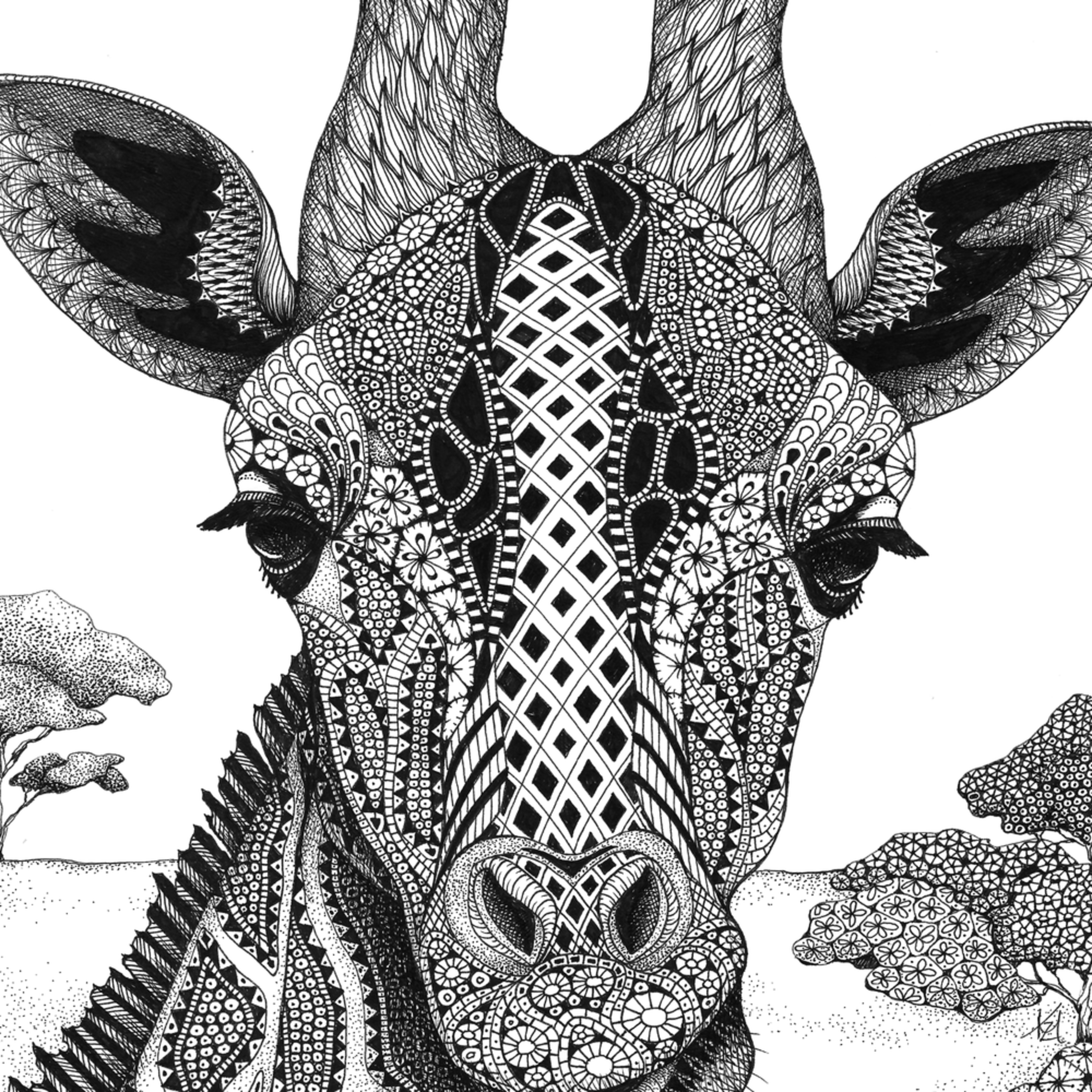 giraff Serengeti Plains Giraffe portrait wfrhsl