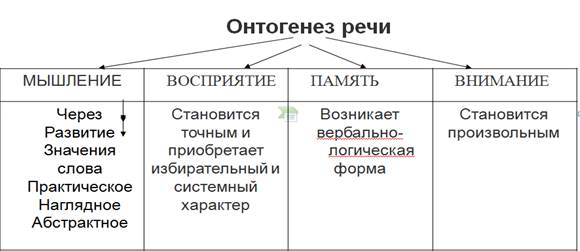 Схема этапов развития речи в онтогенезе у человека физиология