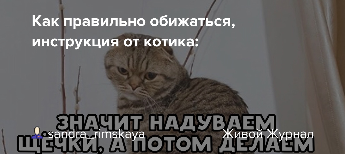 Обиженный как пишется. Как правильно обижаться. Обиделся как пишется правильно. Не обидится или не обидется. Обидется или обидится как правильно.