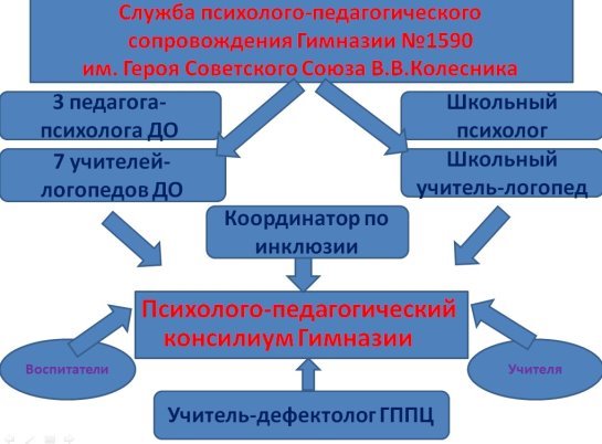 структура ППк.jpg