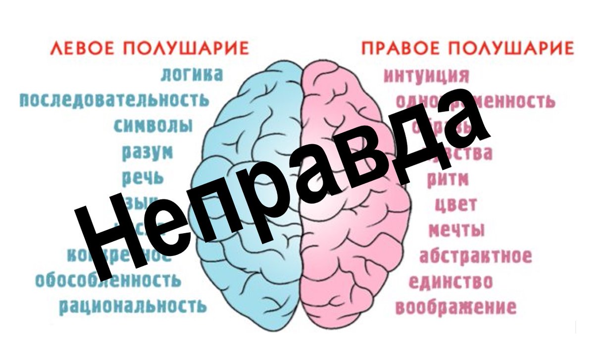 Тест какое полушарие мозга развито больше по картинке