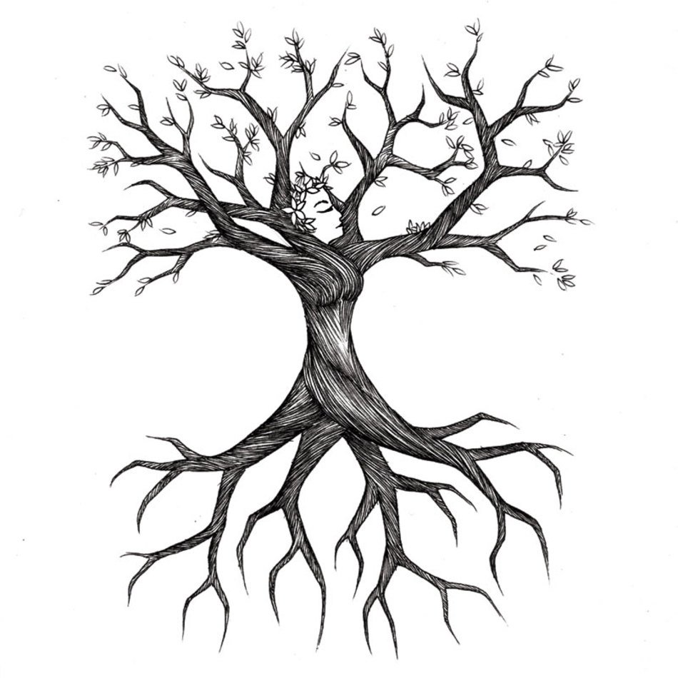 Как нарисовать корень дерева - Дерево в живописи. redka.com.ua