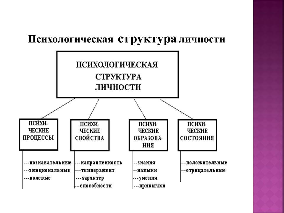 Какова психологическая структура личности ответ представьте в виде схемы с комментарием