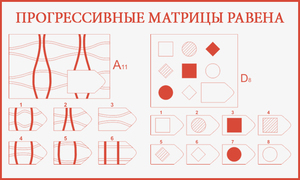 Особенности прохлждения теста