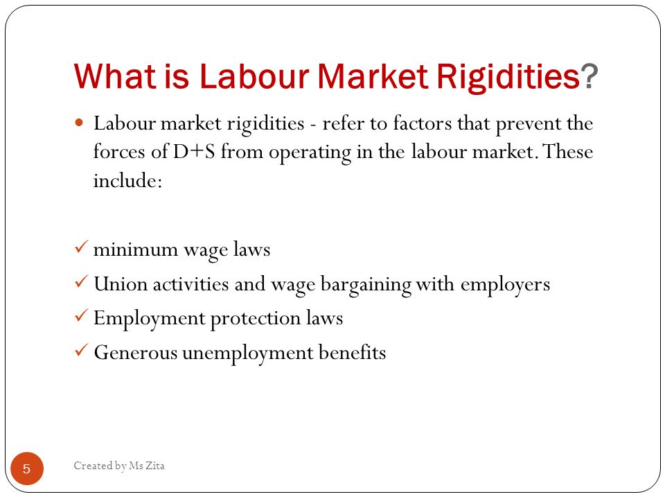 What is Labour Market Rigidities
