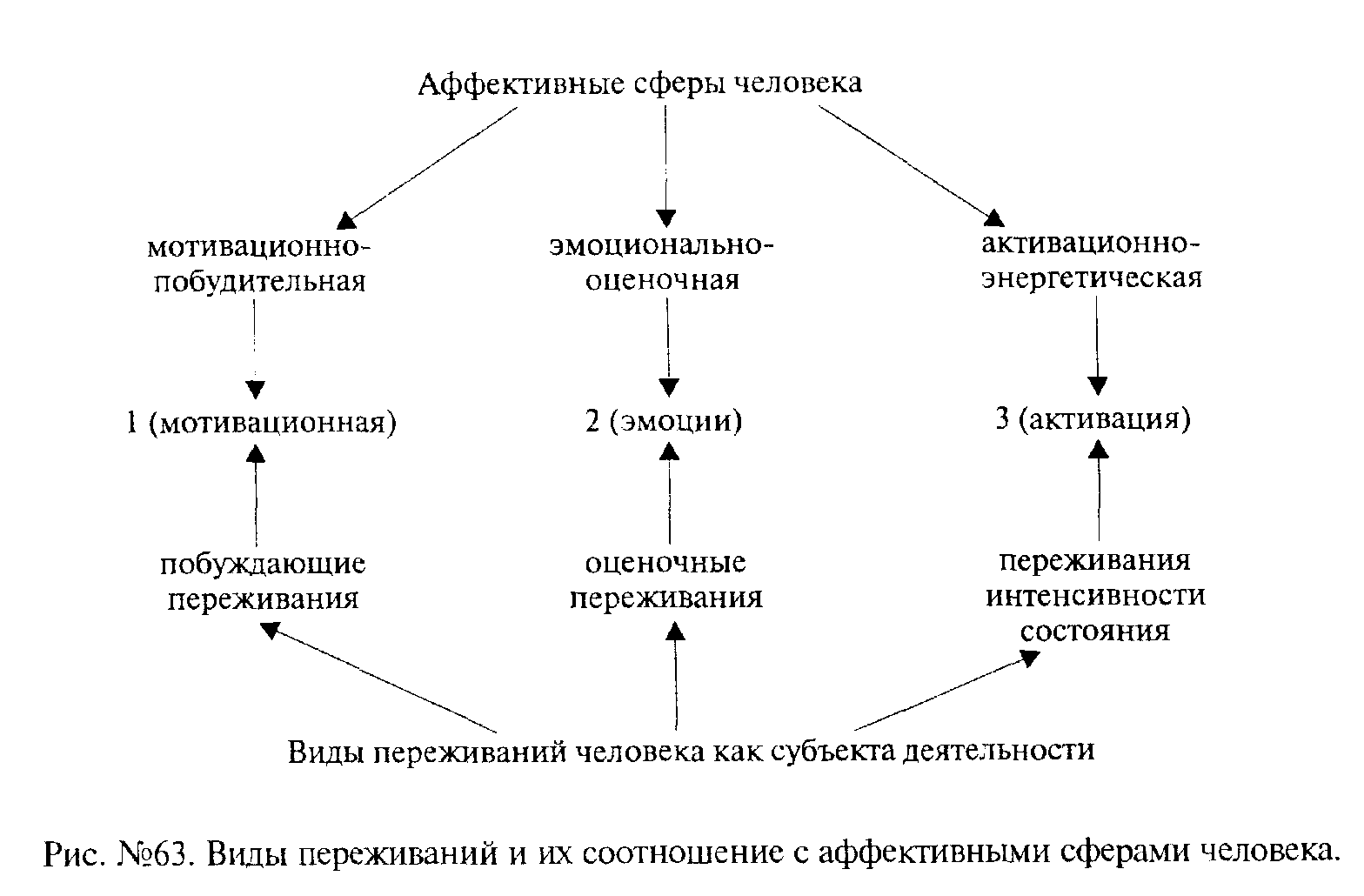 Аффективная сторона. Виды психопатии в психологии. Клинические формы психопатий. Аффективная сфера личности. Аффективно-личностная сфера это.