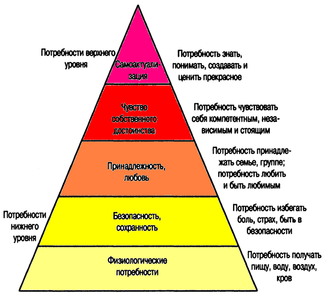 Какие группы потребностей. Группы потребностей. Группы потребностей человека. Содержательные теории мотивации иерархия потребностей а Маслоу. Иерархическая последовательность это.