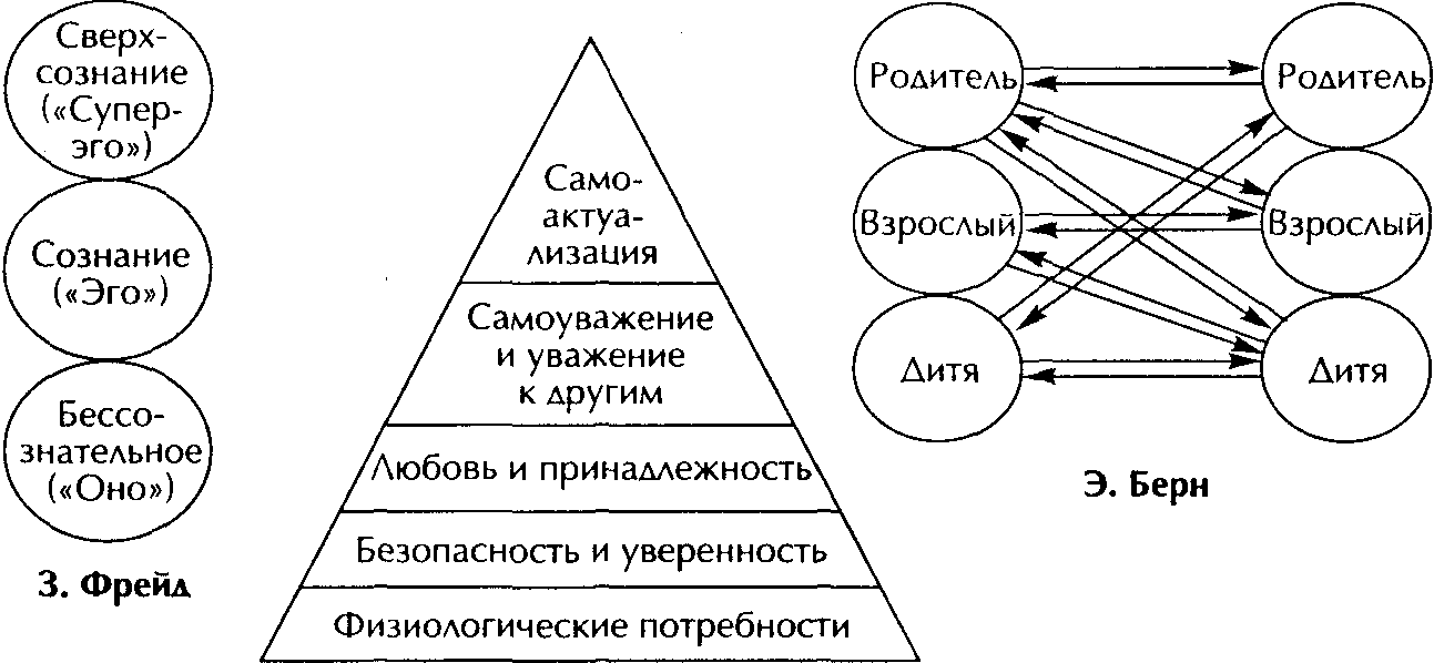 Взрослые родительские организмы схема