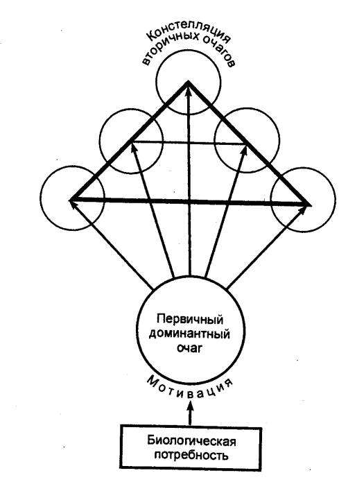 Доминанте про