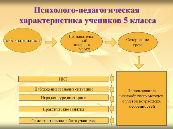 Схема психолого педагогической характеристики учащегося