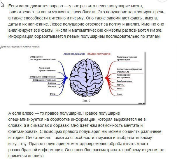 Тест головного полушария. Функции правого и левого полушария. Левое полушарие. Полушария мозга. Левое полушарие мозга.