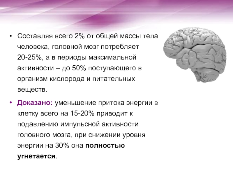Влияние на активность мозга