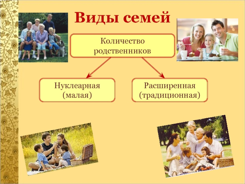 Одна дома тип семьи. Типы семей нуклеарная традиционная. Типы семей нуклеарная расширенная. Виды семей партнерская. Традиционная семья и нуклеарная семья.