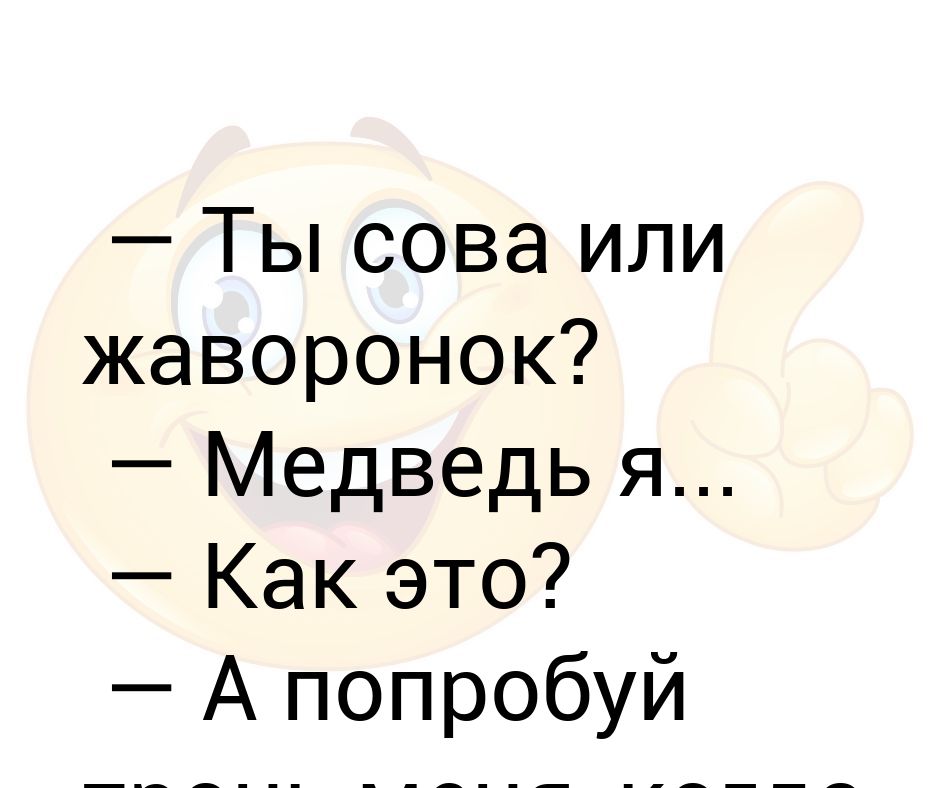 Сова или жаворонок. Ты Сова или Жаворонок. Сова или Жаворонок как. Ты Жаворонок.