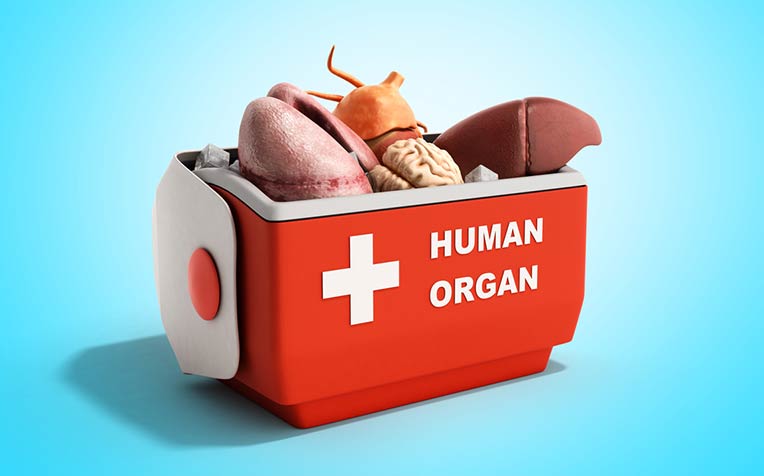 /sites/hexassets/Assets/transplant/types-of-organ-transplants.jpg